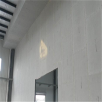 岳麓宁波ALC板|EPS加气板隔墙与混凝土整浇联接的实验研讨